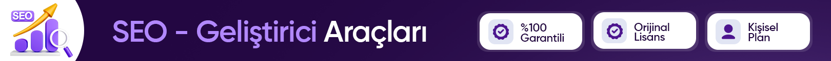 SEO - Geliştirici Araçları