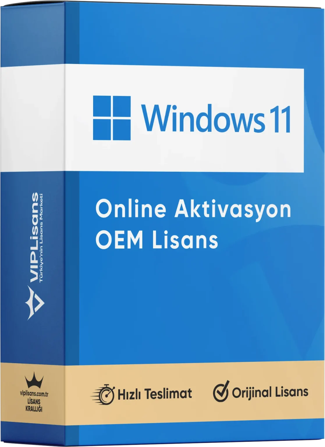 Windows 11 Home (OEM)
